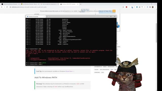 I'm gonna make vim work in the new Windows Terminal смотреть онлайн