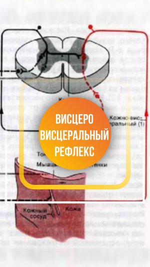 Обучающие семинары Доктора Первушкина