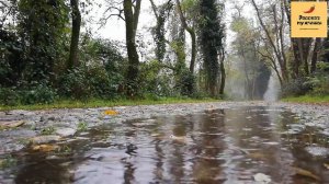 Рассказ мужчины | Измена жены. Месть мужа и жениха. Реальная история