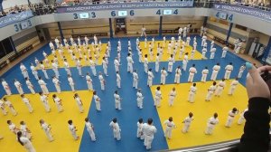 Киокусинкай
1