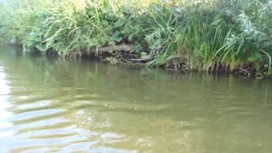 Сплав на резиновых лодках по реке Медведице, рыбалка, отдых на берегу, по Дону гуляем!