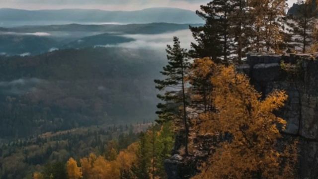 15 апреля - День экологических знаний. Ролик Натальи Георгиевны Аношкиной