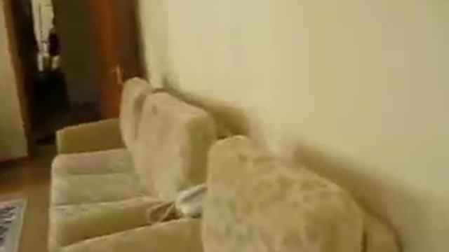 санаторий прогресс сочи номер