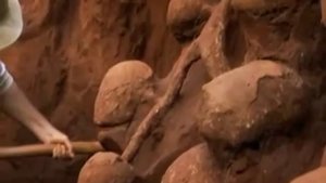 Вид муравейника изнутри