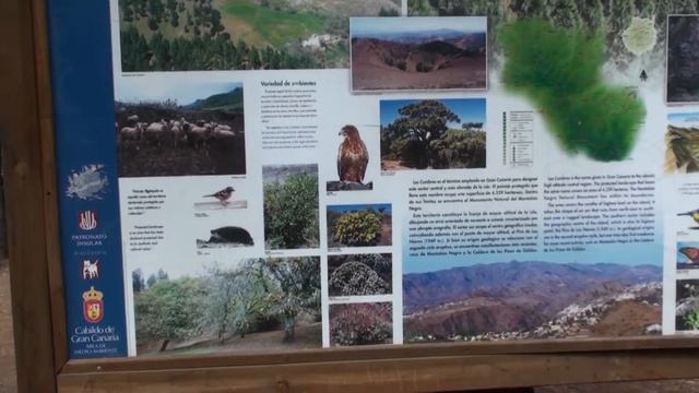 Канарские острова, остров Гран-Канария, с острова Тенерифе на Гран-Канарию на пароме Fred Olsen смотреть онлайн