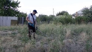 Разнотравье. Нож. Обзор садового электрического триммера Bosch AFS 23-37