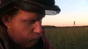 Трава которой не существует Манжетка обыкновенная