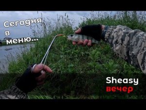 Вечер прогонистых тел. Разлавливаем Sheasy 2.1"