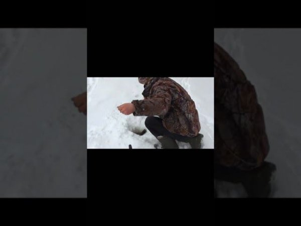 щучка