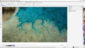 Вторая жизнь растений - красители и катушки (20.04.2024)[1080p]