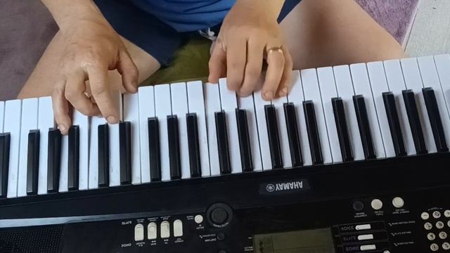 Отрывок В.Кикабидзе.Проводы любви.Ysmaha ez-220.