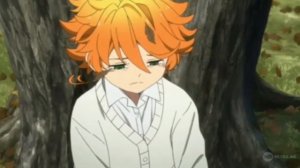 Аниме клип: Обещанный неверленд