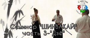 Семинар "ШИНВАКАЙ". 3 часть-"Дзё".