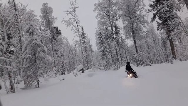 Кваркуш.г.Золотая.Транспортировка снегоходов.Тушёнка за16р..27.12.20. смотреть онлайн