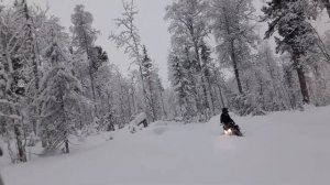 Кваркуш.г.Золотая.Транспортировка снегоходов.Тушёнка за16р..27.12.20.