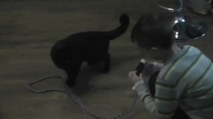 кот напал на сына