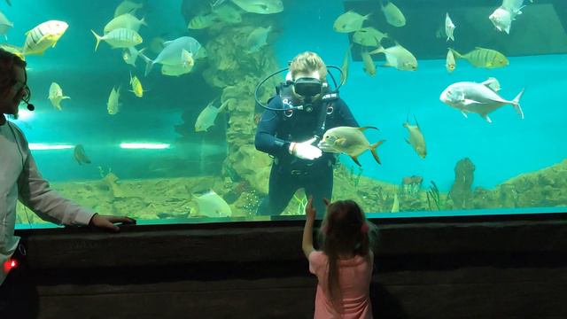 ЮЛЯ и МИЛЕНА знакомство с русалкой в океанариуме юляимилена юляимиленатв блог vlog