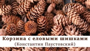 Корзина с еловыми шишками | Константин Паустовский | Аудиокнига