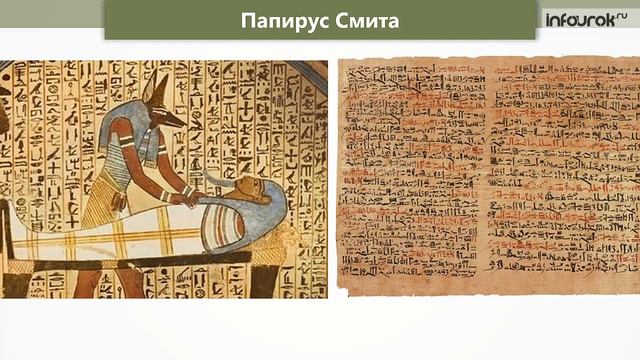Достижения медицины в древние времена  Лекарственные растения