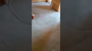 Стяжка пола в бане пенобетоном.