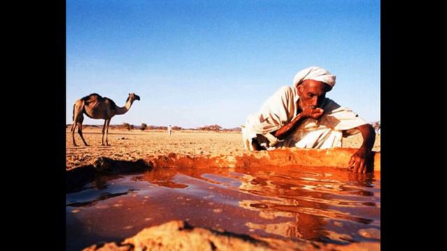 Милосердие к живым творениям смотреть онлайн