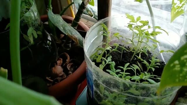 Моменты дня смотреть онлайн