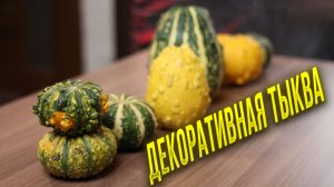 Декоративная тыква как украшение любой арки