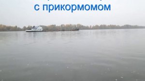 ФоФаны валят леща в Берсуте