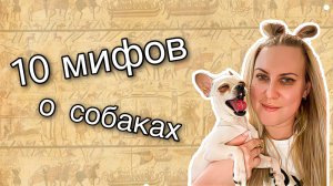 МИФЫ О СОБАКАХ, В КОТОРЫЕ ВЫ ВЕРИЛИ