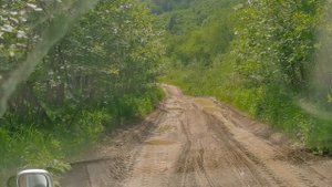Дорога на Клоковский водопад, Макаровский р-н, о. Сахалин