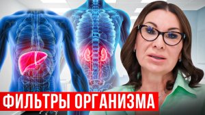 Фильтры организма