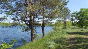 Мне к южному морю нисколько не хочется