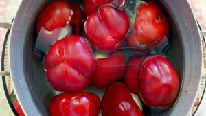 Перец ратунда консервированный с луком на зиму