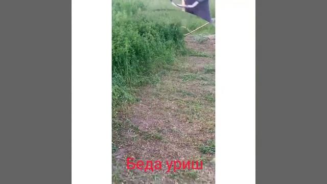 Беда уриш beda orish benzin kasilka смотреть онлайн