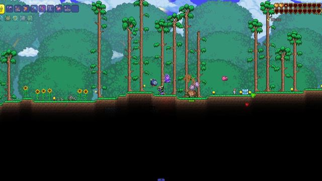 Гайд на Все Посохи Призывателя в Terraria