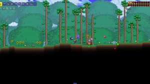 Гайд на Все Посохи Призывателя в Terraria