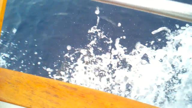 Dolphins returning from Catalina смотреть онлайн