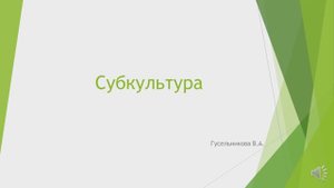Субкультура