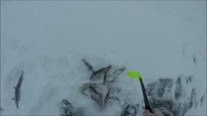 Шагозеро   клёвая рыбалка