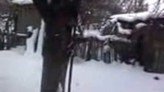 Дятел зимой! смотреть онлайн