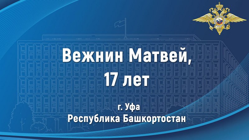 Благодаря Матвею Вежнину из Республики Башкортостан был задержан злоумышленник, похитивший телефон