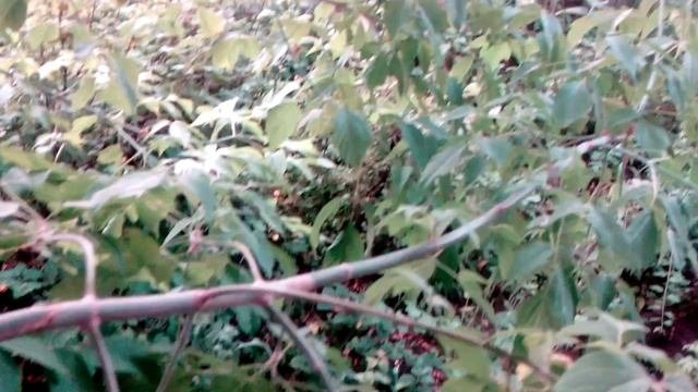 Опять погодой напугали зря
