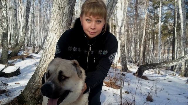 Поздравление 2 смотреть онлайн