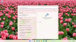 Fix PCL XL Error in Printer Windows 10