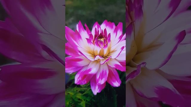 Автор. Макс Терн. Расскажи мне мама, что такое счастье. смотреть онлайн