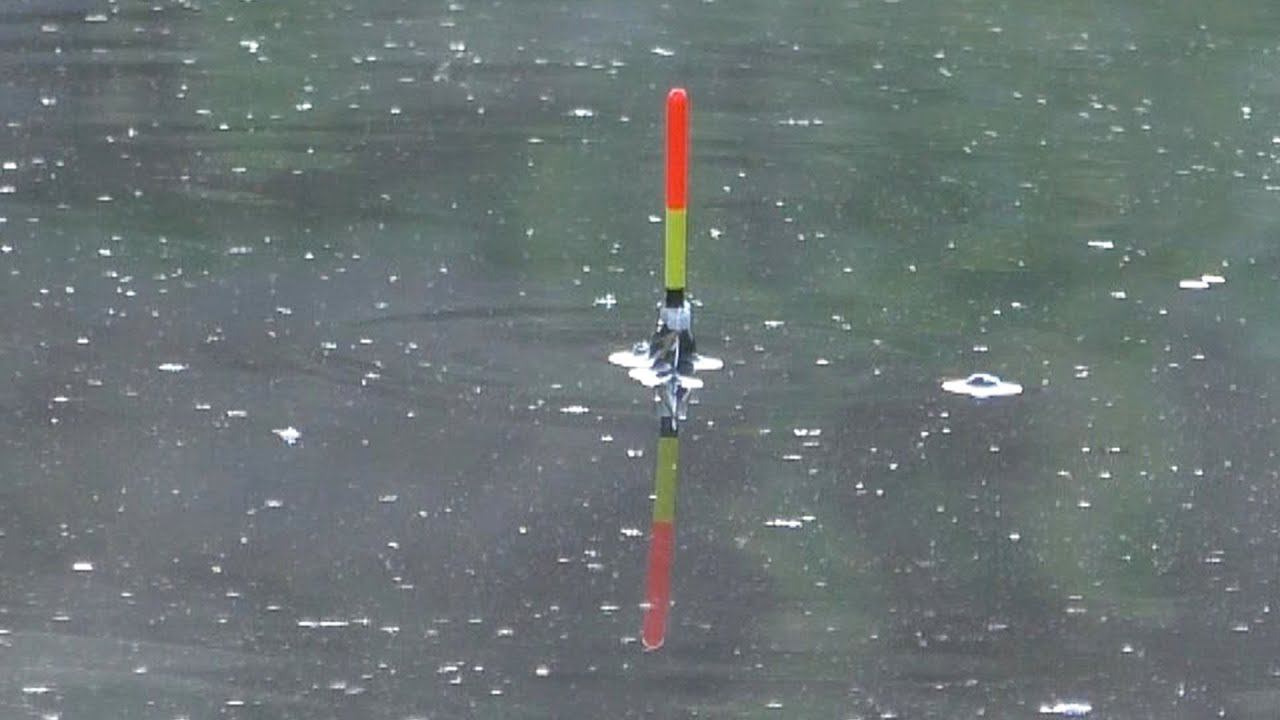 Ловля крупного карася на поплавочную удочку. Поплавок для рыбалки на карася в камышах. Рыбалка на удочку с поплавком видео. Маховое удилище карасямба. Рыбалка на удочку с поплавком видео.