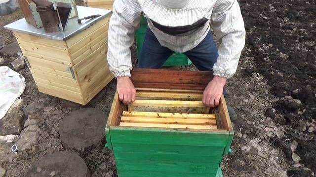 Семья потеряла пчелиную матку, что делать? Подсадка матки через изолятор. Первые работы на пасеке.
