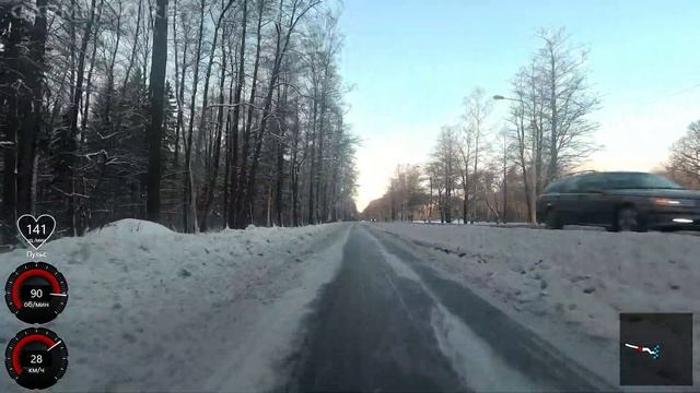 Крестовский остров - Лисий нос, велодорожка приморское шоссе.