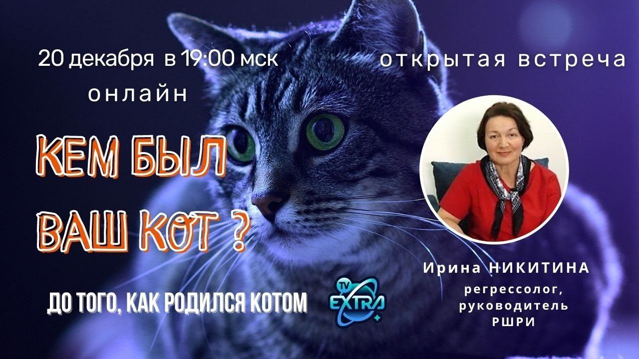 Открытая встреча с Ириной НИКИТИНОЙ 20.12.2022 - Кем ваш кот был до того, как родился котом?