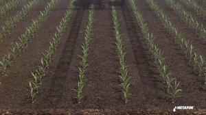 Капельное орошение от компании NETAFIM